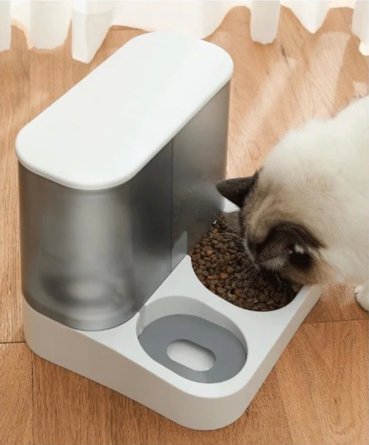 Pet Accessories